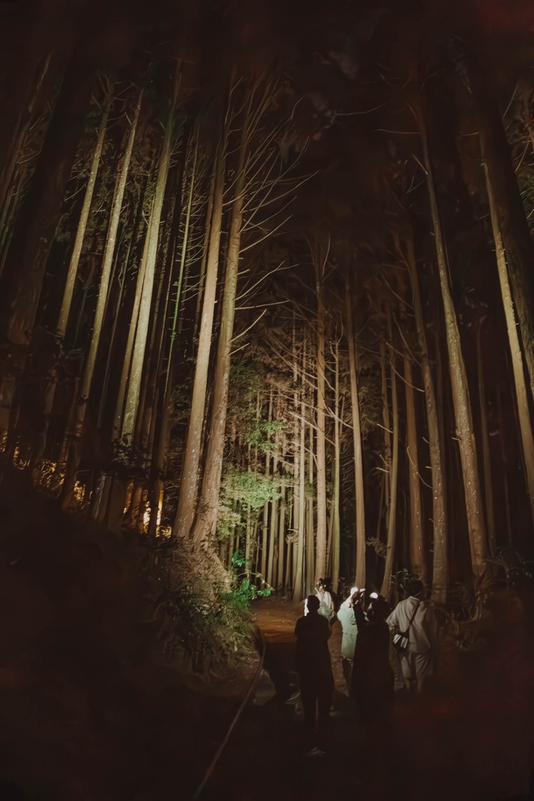 白蘭部落泰雅文化原民體驗 山林療癒小旅行 蟬說：霧繞