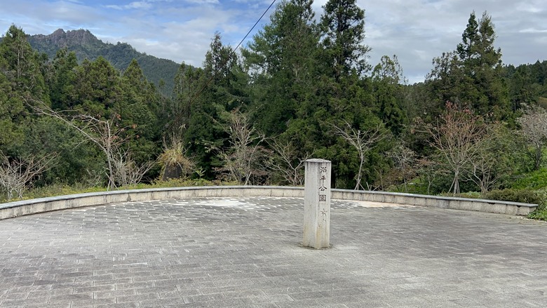 阿里山森遊健行「水山療癒步道、台灣難抵極」