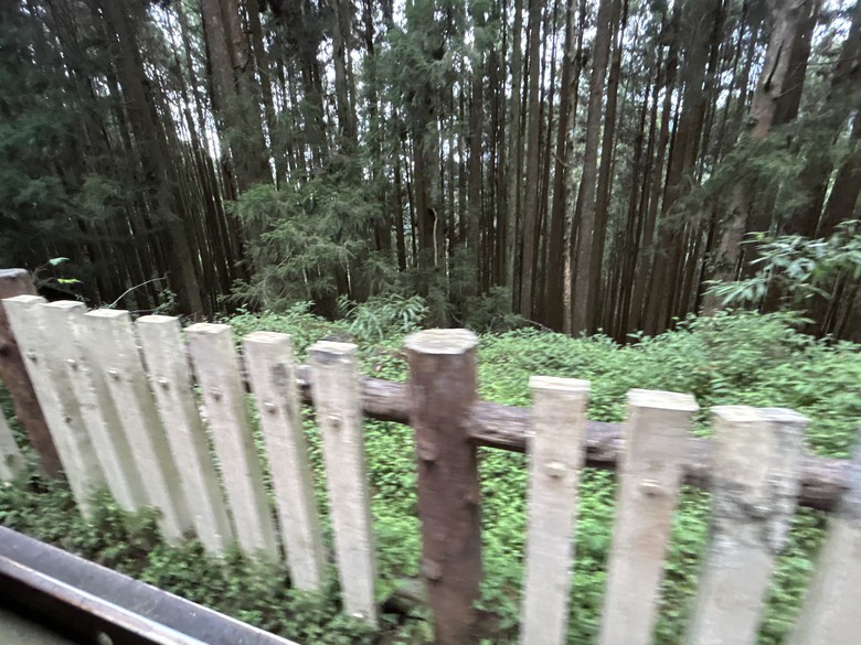 阿里山森遊漫步走(下)有夠遠的部落-里佳