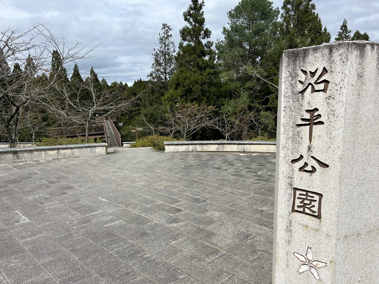 阿里山森遊健行「水山療癒步道、台灣難抵極」