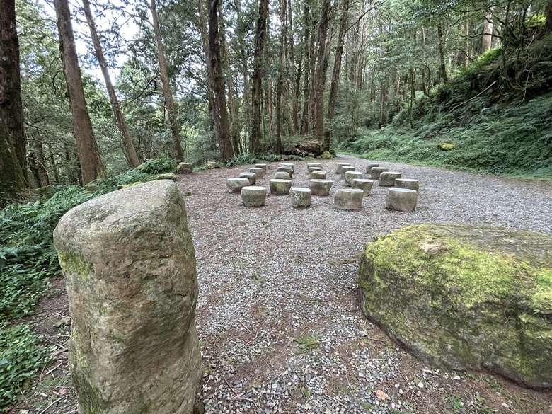 阿里山森遊健行「水山療癒步道、台灣難抵極」
