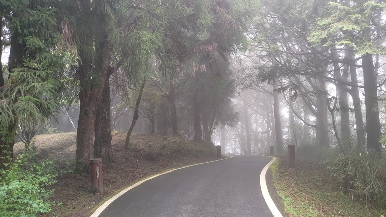點我看大圖 【遊記】夸父逐日想跑贏太陽,大漠逐日是想看日出,阿里山國家森林遊樂區 (祝山線) - 大漠國渡