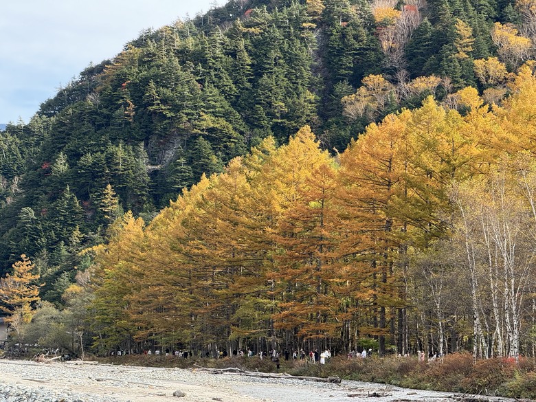 2024日本獨旅/10月下旬/關東+中部（中集）