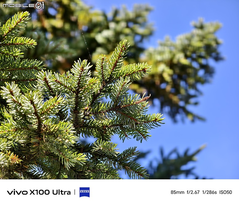 點我看大圖 Vivo X200 Pro 旗艦兄弟機 – Vivo X100 Ultra 使用心得分享,日本北海道旅遊景點實拍