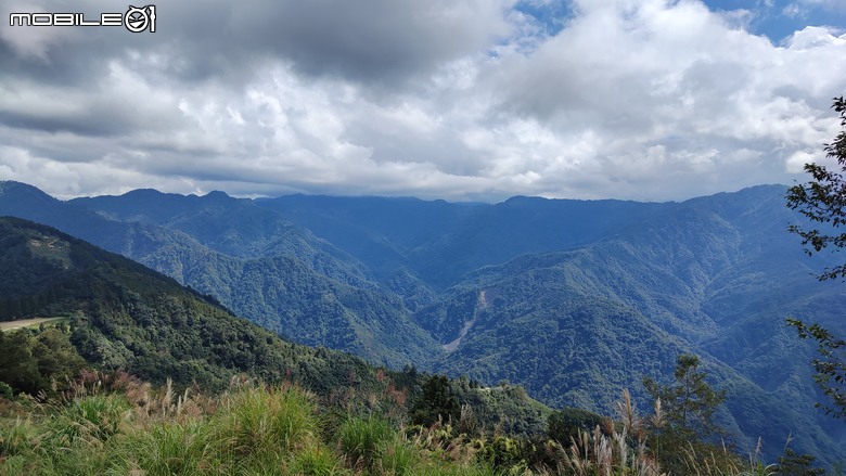 100分森林浴感 | 人潮稀少路線 | 新竹五峰 | 民都有山-面托油山