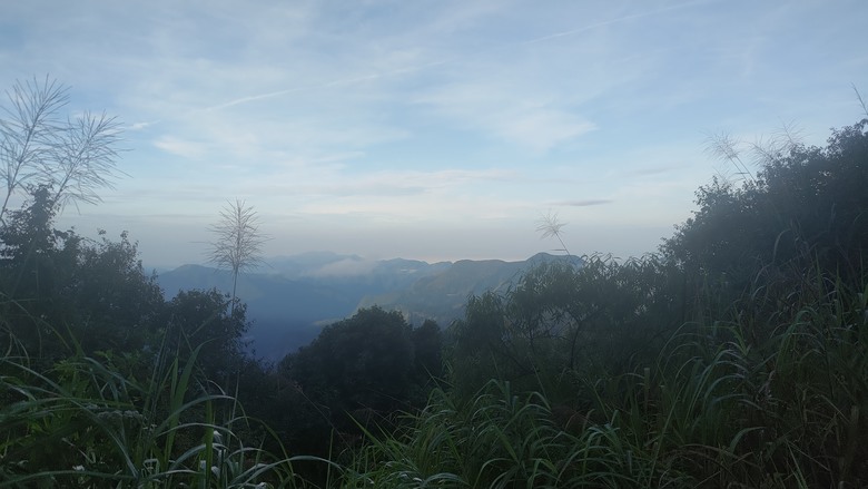 點我看大圖 【遊記】夸父逐日想跑贏太陽,大漠逐日是想看日出,阿里山國家森林遊樂區 (祝山線) - 大漠國渡