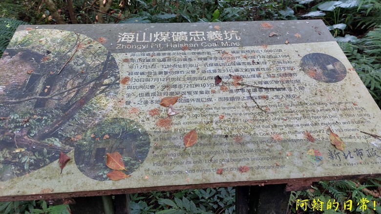 【郊山走走】白雞山、雞罩山、鹿窟尖｜白雞三山縱走