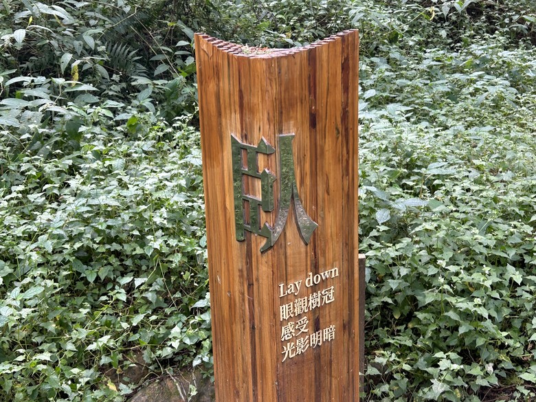 阿里山森遊健行「水山療癒步道、台灣難抵極」