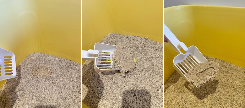 毛怪樂園破碎型花生砂開箱