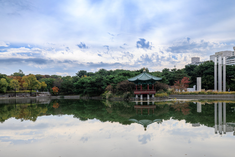 首爾五日趴趴走(R5II+R8)