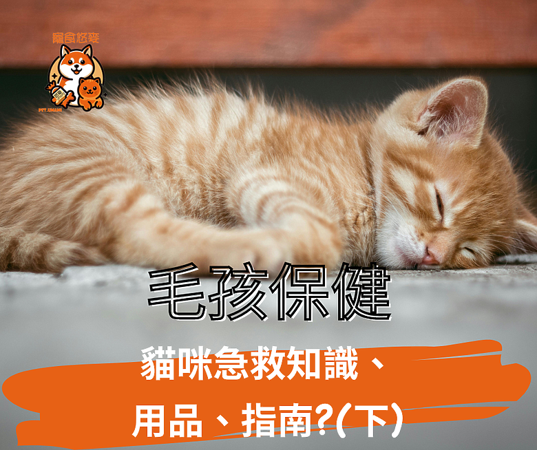 毛孩保健 貓咪急救知識、貓咪急救用品、貓咪急救指南?