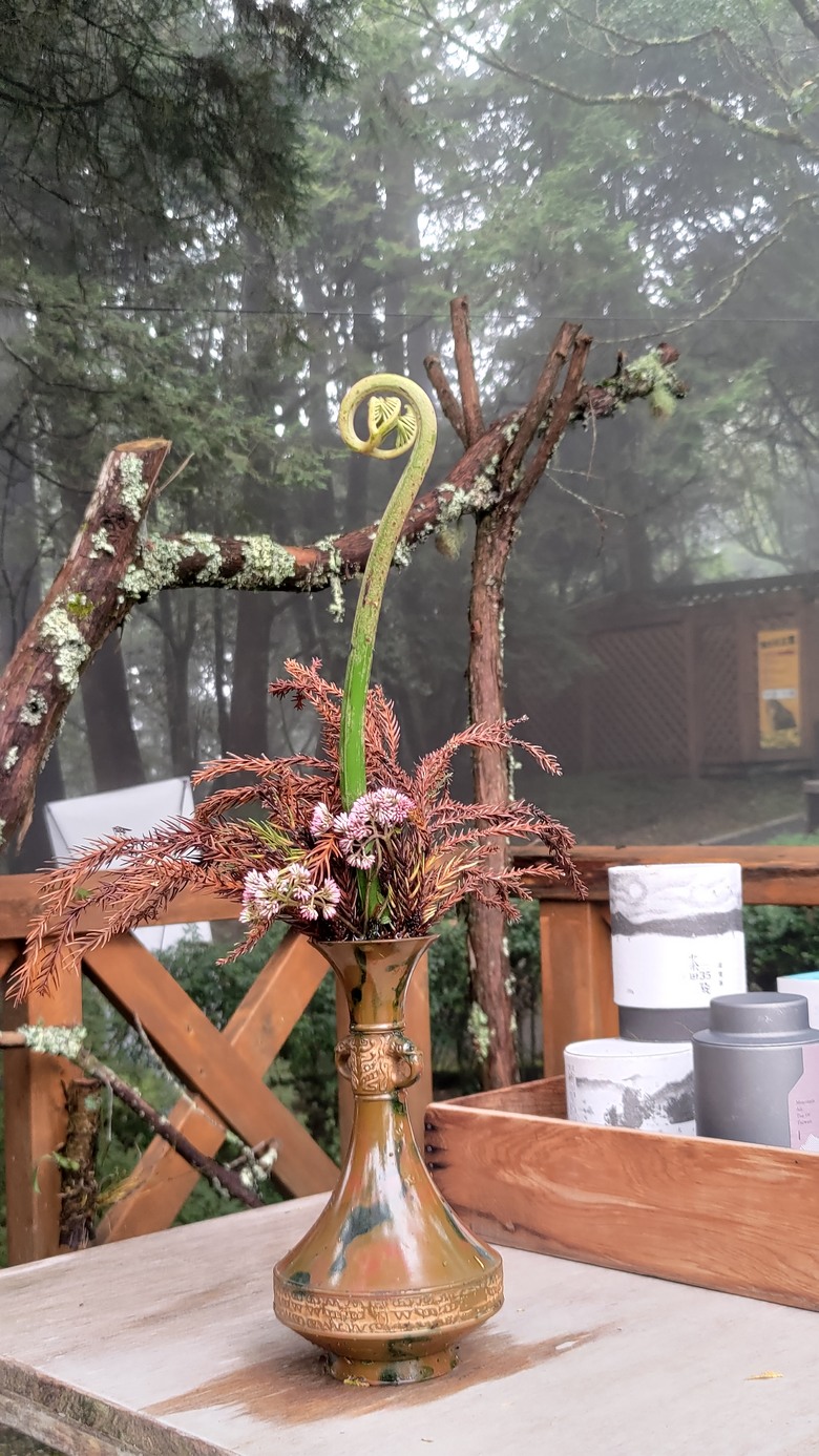 點我看大圖 【遊記】夸父逐日想跑贏太陽,大漠逐日是想看日出,阿里山國家森林遊樂區 (祝山線) - 大漠國渡