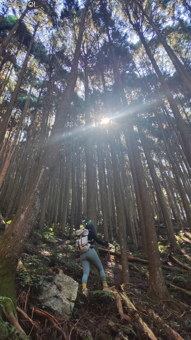 100分森林浴感 | 人潮稀少路線 | 新竹五峰 | 民都有山-面托油山