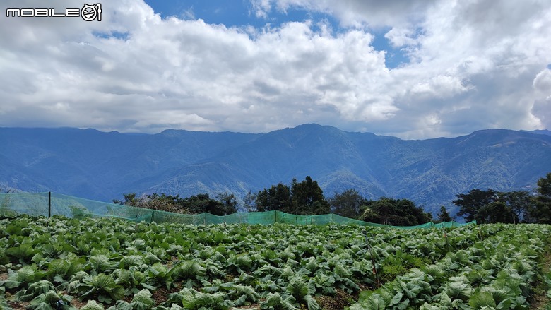 100分森林浴感 | 人潮稀少路線 | 新竹五峰 | 民都有山-面托油山