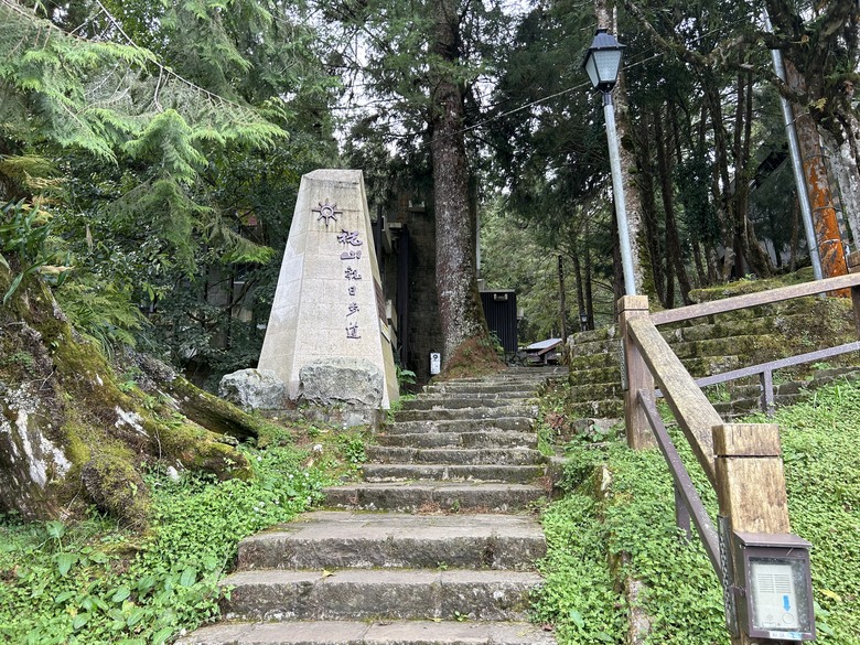 阿里山森遊健行「水山療癒步道、台灣難抵極」