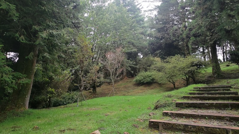 點我看大圖 【遊記】夸父逐日想跑贏太陽,大漠逐日是想看日出,阿里山國家森林遊樂區 (祝山線) - 大漠國渡