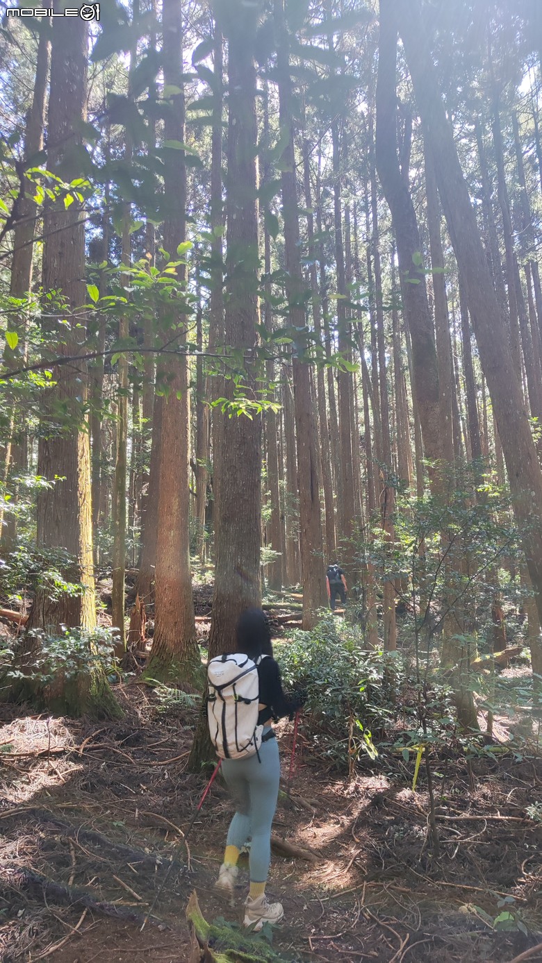 100分森林浴感 | 人潮稀少路線 | 新竹五峰 | 民都有山-面托油山