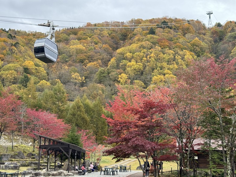 2024日本獨旅/10月下旬/關東+中部(下集)