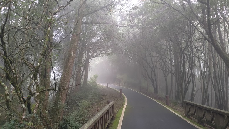 點我看大圖 【遊記】夸父逐日想跑贏太陽,大漠逐日是想看日出,阿里山國家森林遊樂區 (祝山線) - 大漠國渡