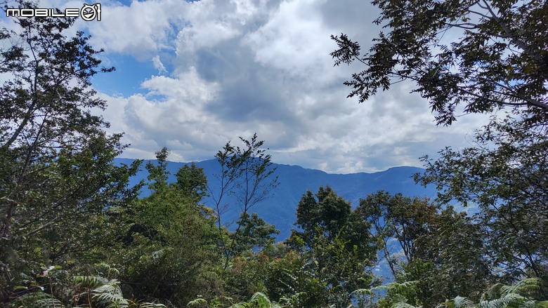 100分森林浴感 | 人潮稀少路線 | 新竹五峰 | 民都有山-面托油山