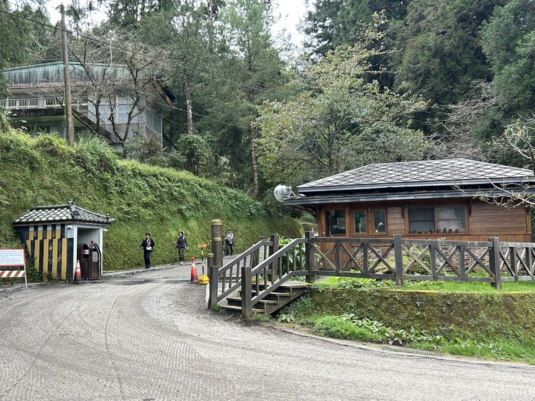 阿里山森遊健行「水山療癒步道、台灣難抵極」