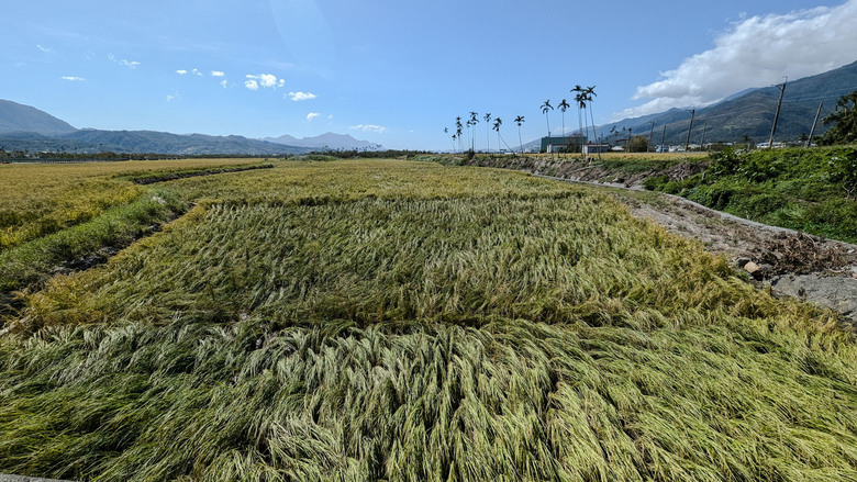 【不是遊記13】十月的颱風後,關山的田間與那些藝術地景,是否如常?