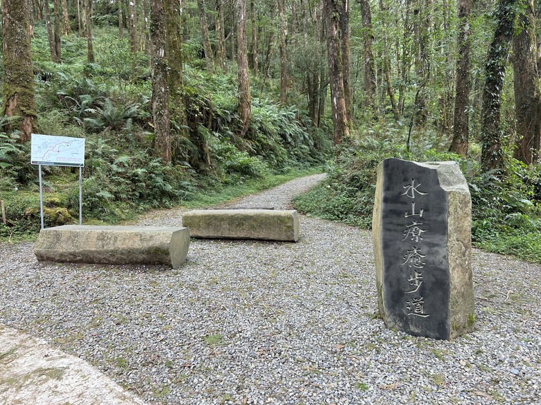 阿里山森遊健行「水山療癒步道、台灣難抵極」