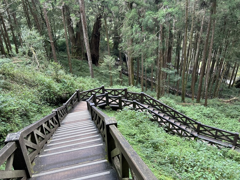 阿里山森遊漫步走(下)有夠遠的部落-里佳