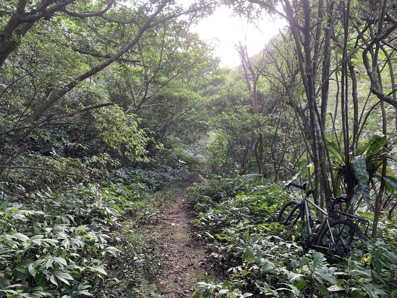 探索三峽北102鄉道 (安順礦坑)