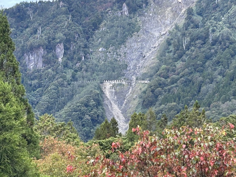 阿里山森遊健行「水山療癒步道、台灣難抵極」