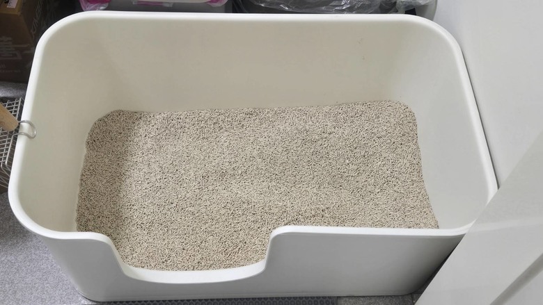 我家胖黑貓的花生砂使用心得