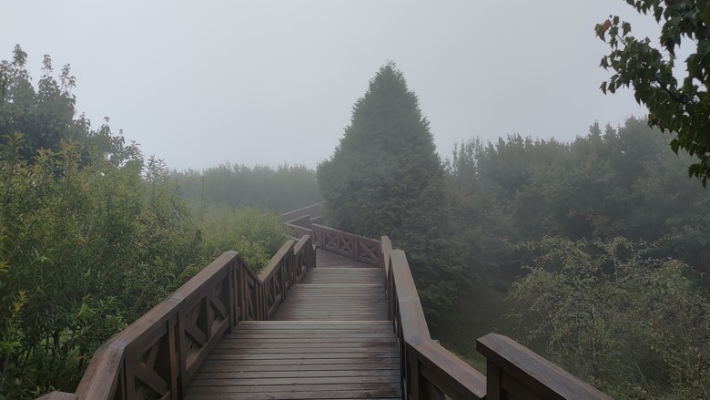 點我看大圖 【遊記】夸父逐日想跑贏太陽,大漠逐日是想看日出,阿里山國家森林遊樂區 (祝山線) - 大漠國渡
