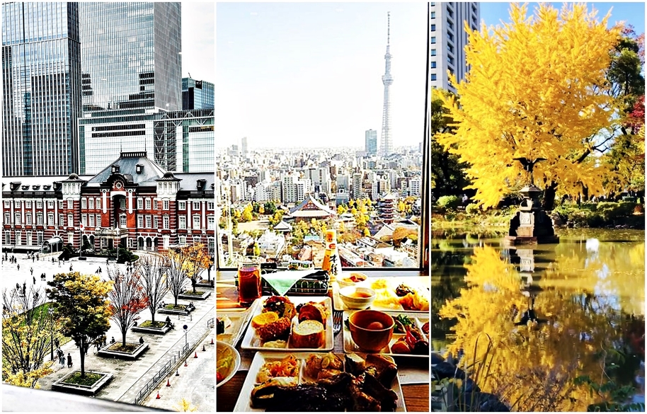 【東京都】可以欣賞秋日東京都市銀杏美景的餐廳三選！CASABLANCA SILK、淺草豪景飯店、日比谷松本樓！