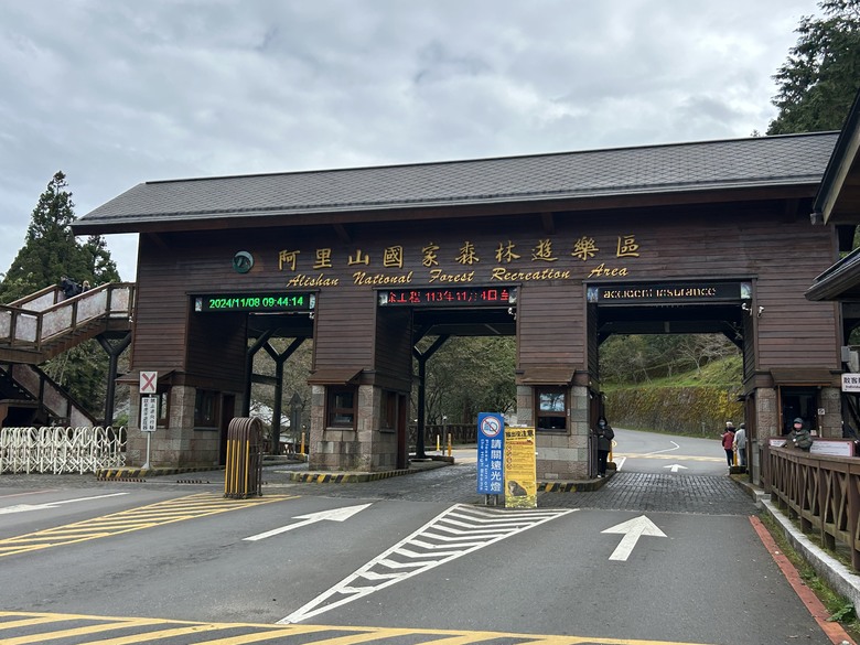 阿里山森遊健行「水山療癒步道、台灣難抵極」