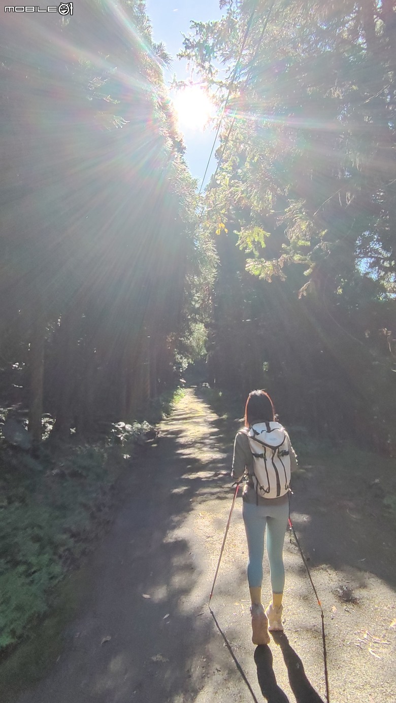100分森林浴感 | 人潮稀少路線 | 新竹五峰 | 民都有山-面托油山