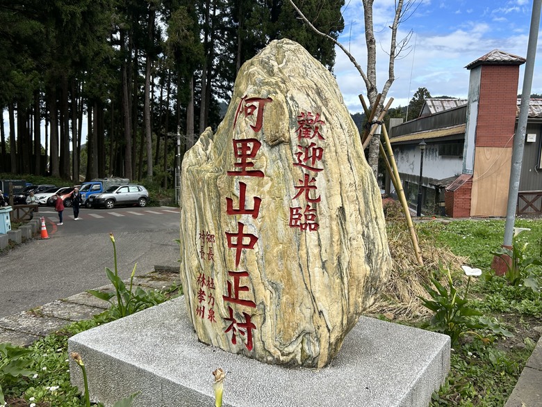 阿里山森遊健行「水山療癒步道、台灣難抵極」
