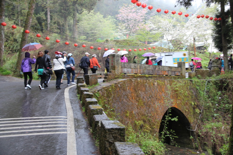 阿里山森遊漫步走(下)有夠遠的部落-里佳