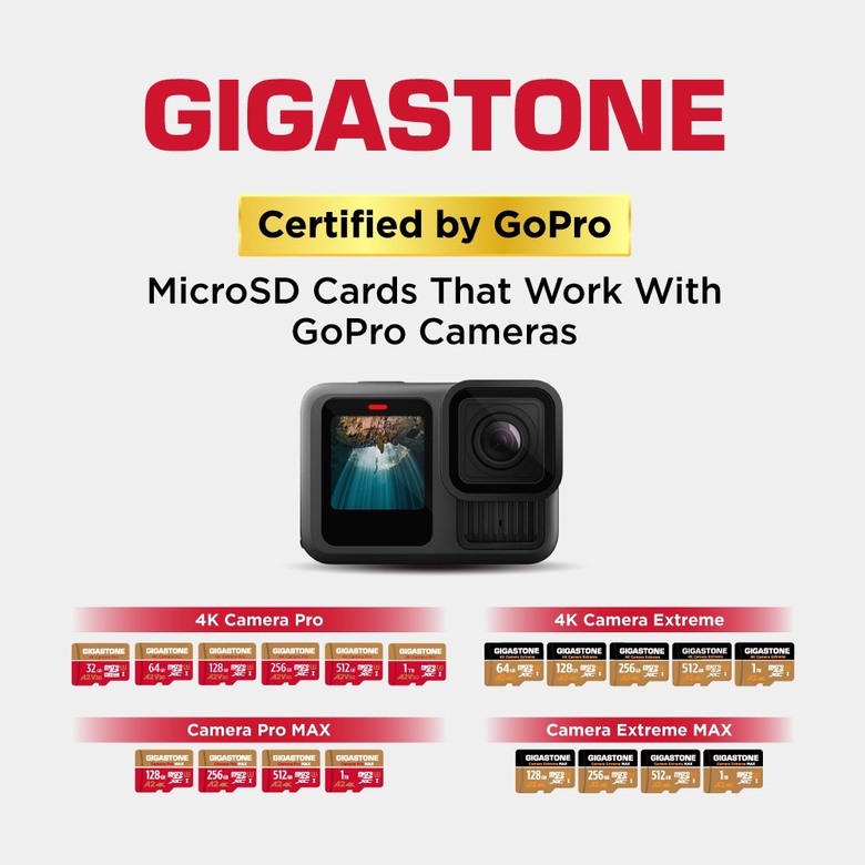 GIGASTONE Camera Pro MAX｜Go Pro認證專業4K高速記憶卡｜捕捉每一刻精彩瞬間