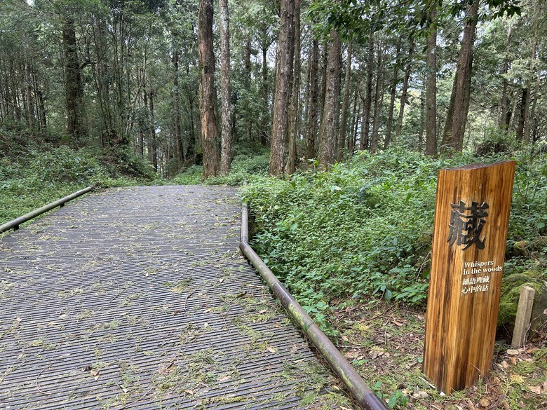 阿里山森遊健行「水山療癒步道、台灣難抵極」