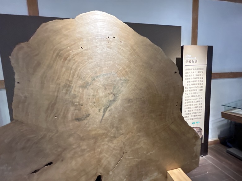 阿里山森遊漫步走(下)有夠遠的部落-里佳