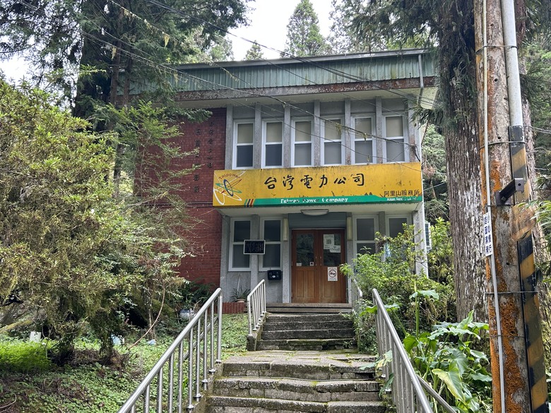 阿里山森遊健行「水山療癒步道、台灣難抵極」