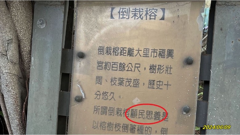 顧民思義 - 大里老街倒栽榕(新增AI師爺對話)