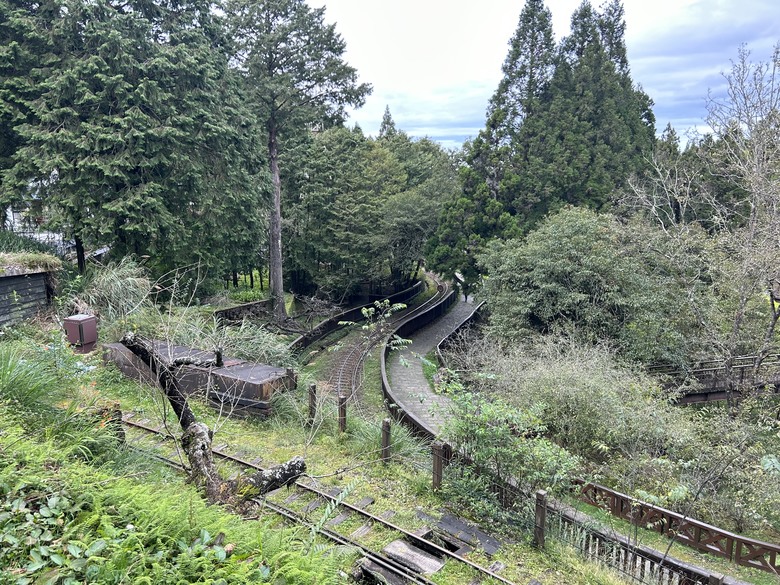 阿里山森遊健行「水山療癒步道、台灣難抵極」