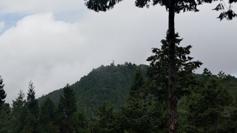 點我看大圖 【遊記】夸父逐日想跑贏太陽,大漠逐日是想看日出,阿里山國家森林遊樂區 (祝山線) - 大漠國渡