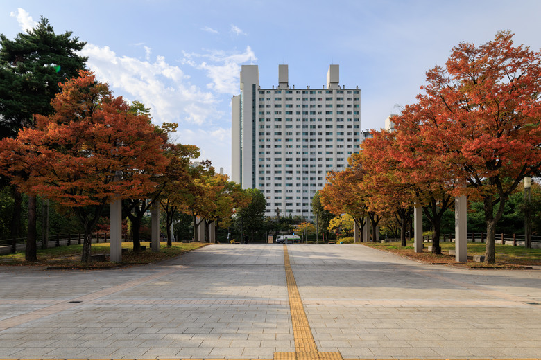 首爾五日趴趴走(R5II+R8)