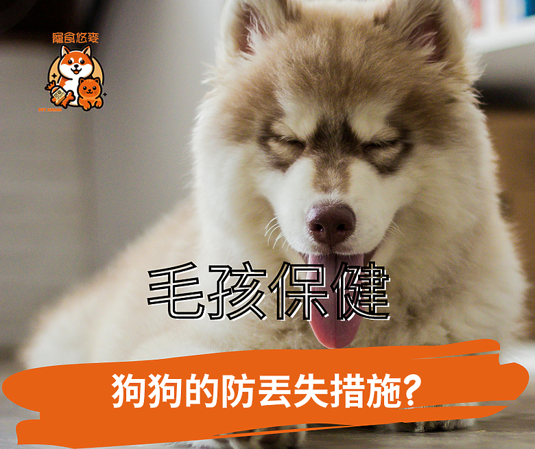 毛孩保健 狗狗的防丟失措施?
