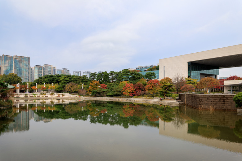 首爾五日趴趴走(R5II+R8)