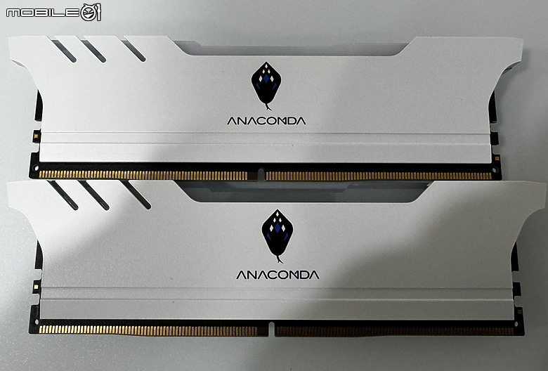 點我看大圖 蛇蛇 DDR5 RGB 白色 G5 PYTHON DDR5 RGB