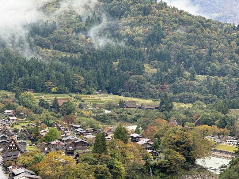2024日本獨旅/10月下旬/關東+中部(下集)