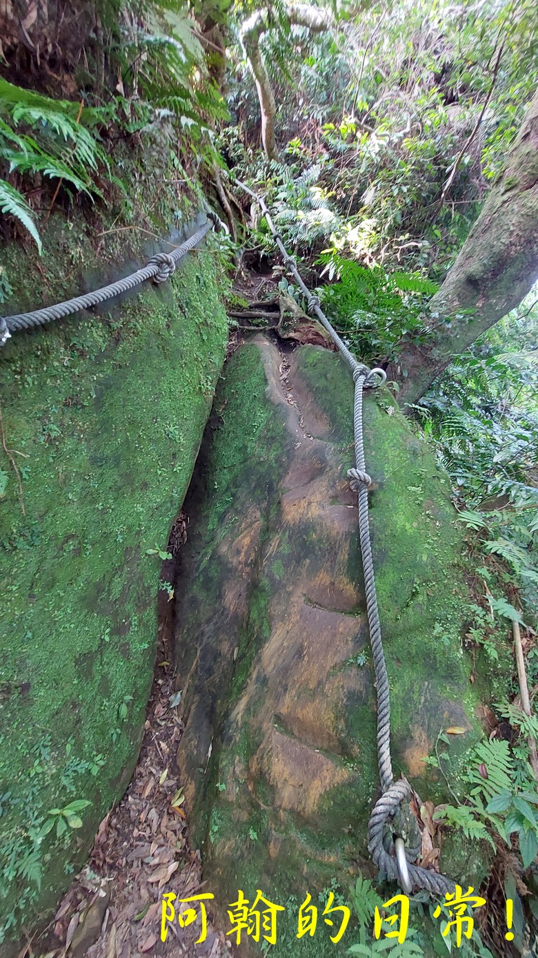 【郊山走走】白雞山、雞罩山、鹿窟尖｜白雞三山縱走